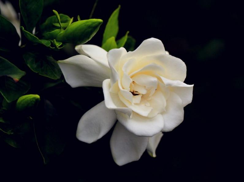 我可以穷但不可以怂,做人可以穷但是不能骗人