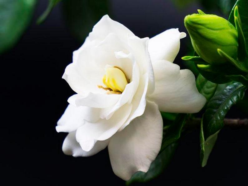 我可以穷但不可以怂,做人可以穷但是不能骗人