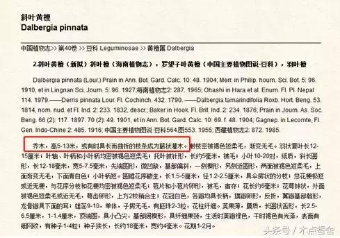 斜叶檀滥竽充数小叶降真香