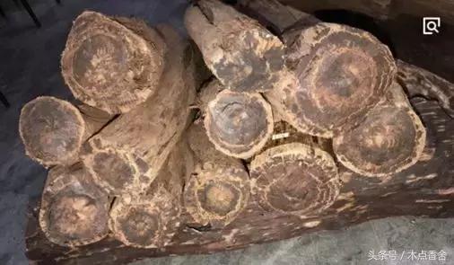 斜叶檀滥竽充数小叶降真香