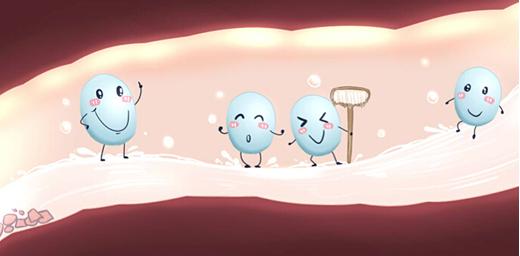 乳酸菌和芽孢杆菌可以一起发酵吗,凝结芽孢杆菌属于乳酸菌吗