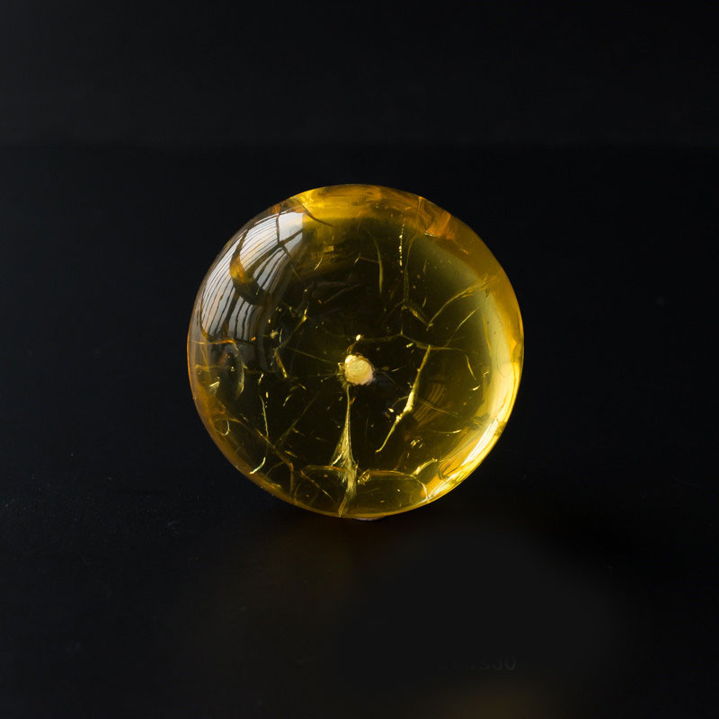 怎么鉴别金珀,金绞蜜和蜜蜡的区别