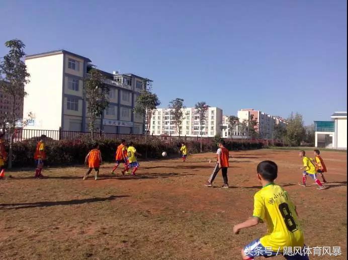 深度干货足球预测,日本校园足球战术素养