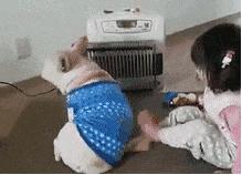 福懋动物诊所西槎路分院,福懋动物医院从化