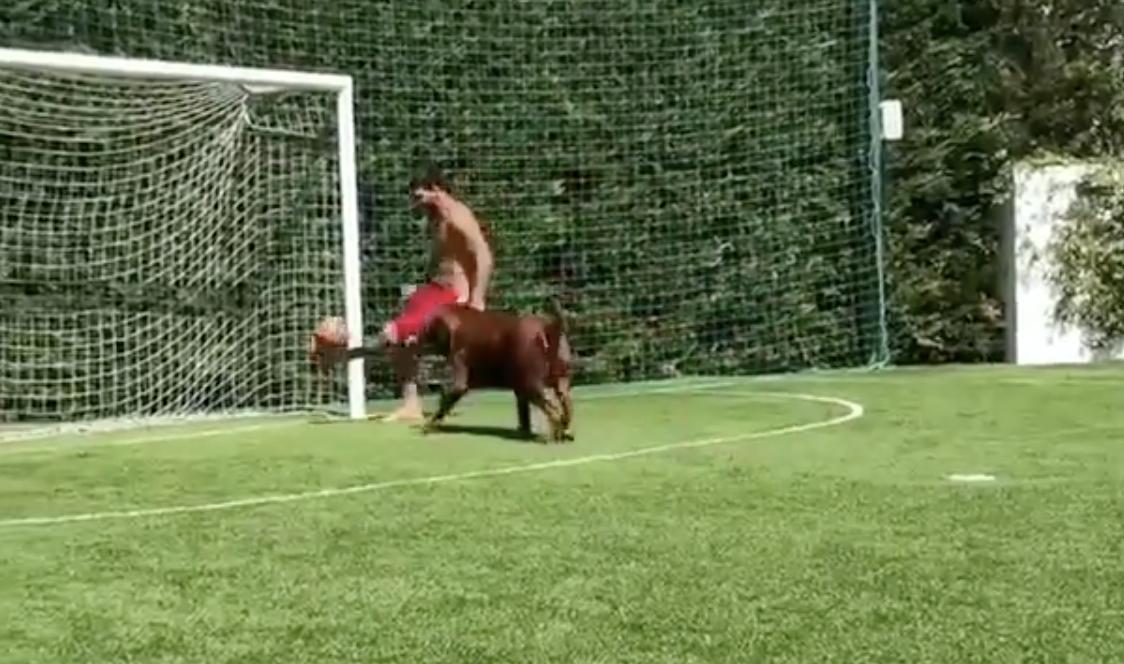 梅西遛狗vs安东内拉,梅西挑球过狗