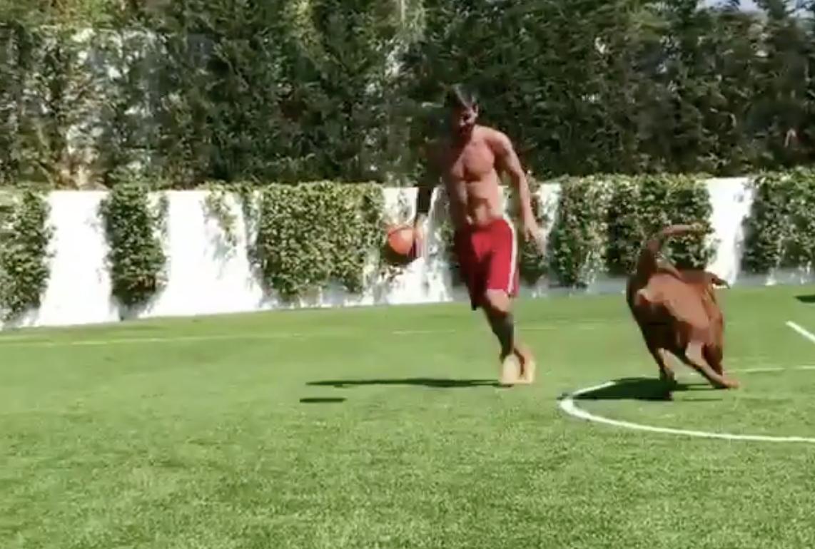 梅西遛狗vs安东内拉,梅西挑球过狗