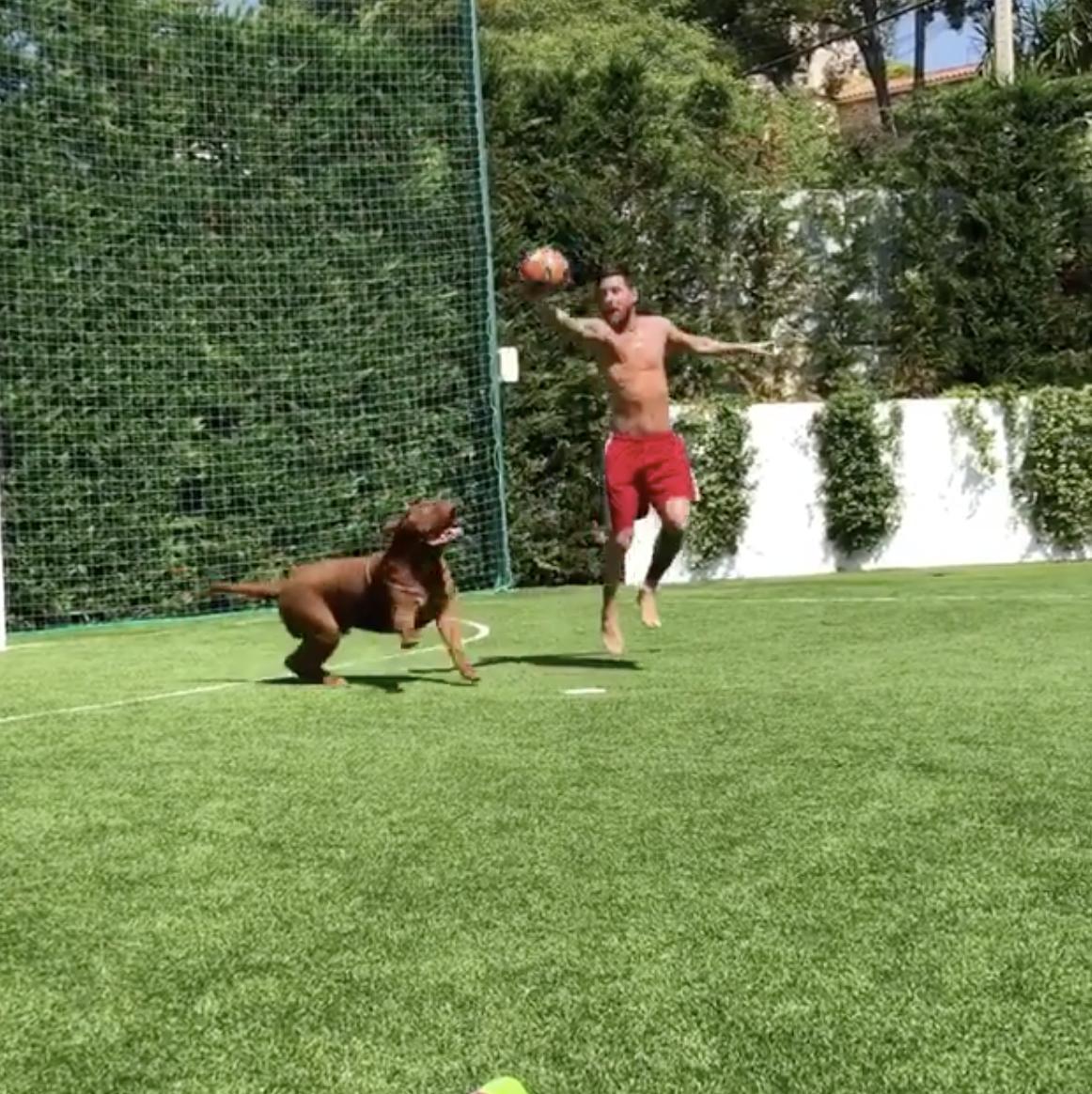 梅西遛狗vs安东内拉,梅西挑球过狗