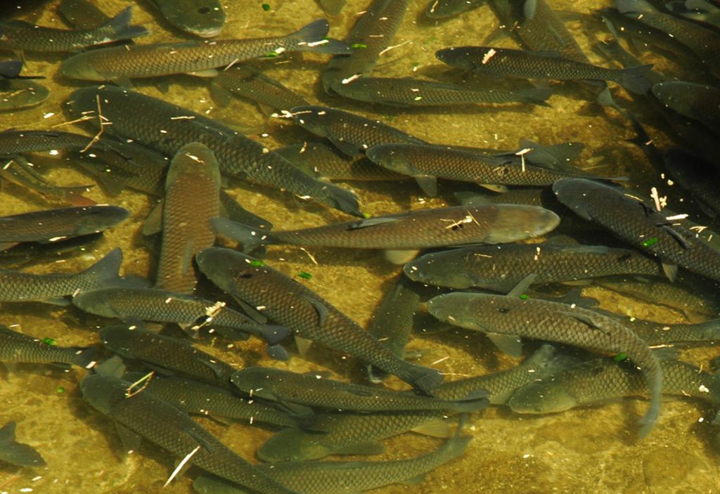 首都富平台董事长刘宏岩一行考察实体商家