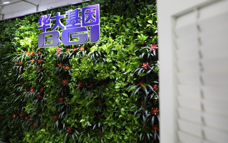 世界上最豪华董事长办公室,世界最大芯片公司董事长