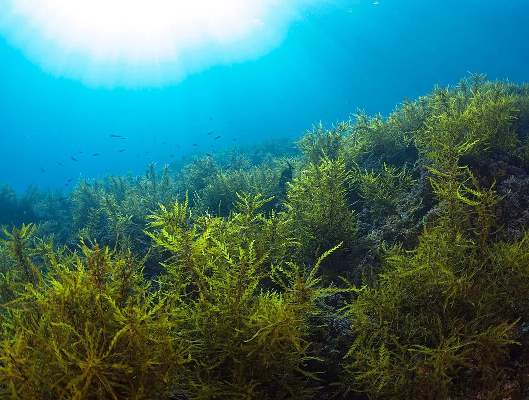 食安科普宣传活动,食安科普最新信息