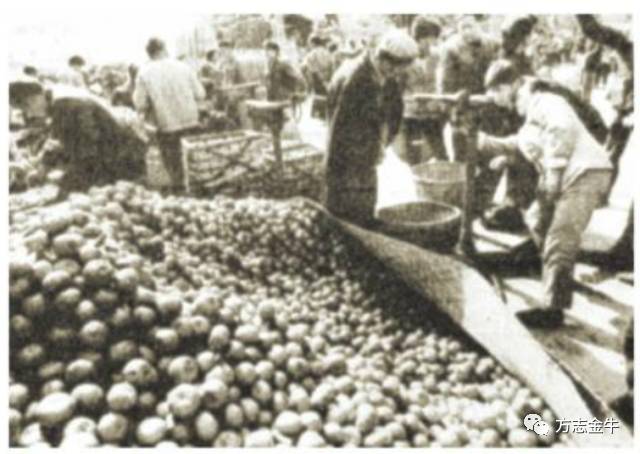 80年成都荷花池老图片,成都荷花池批发市场老照片