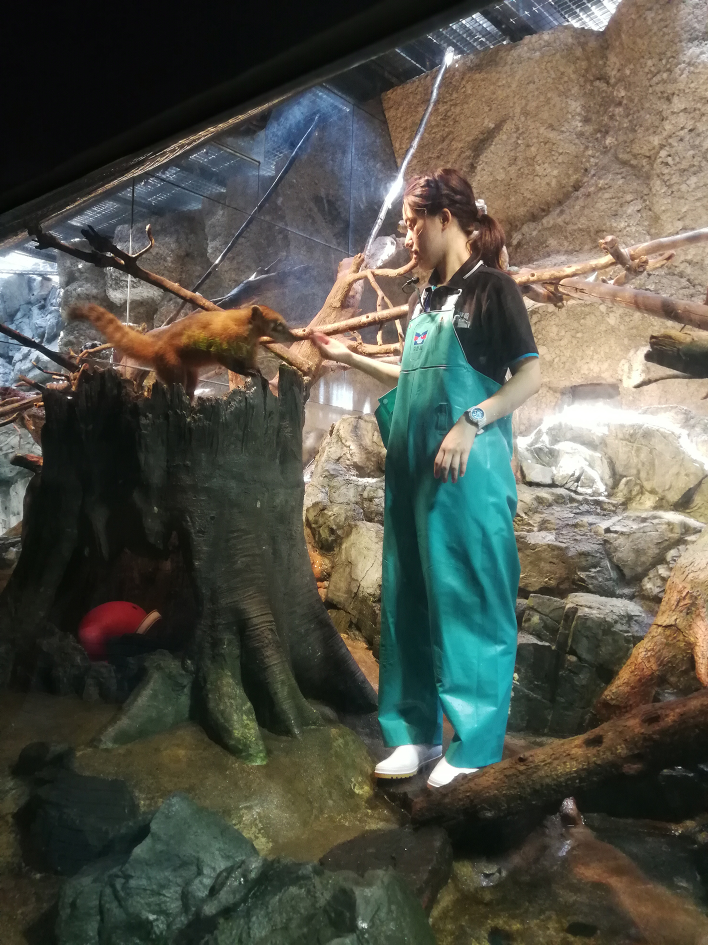 日本乐高亲子游,日本乐高亲子游玩中心在哪