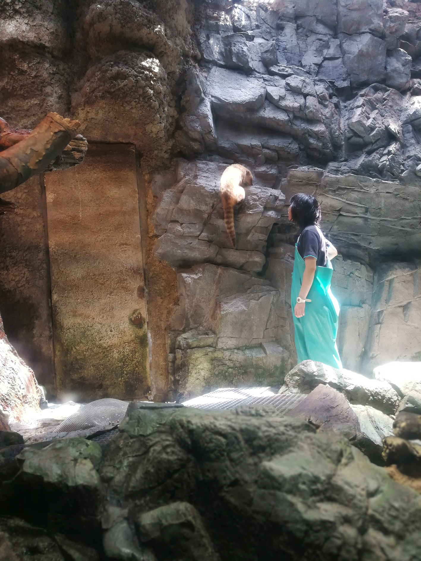 日本乐高亲子游,日本乐高亲子游玩中心在哪