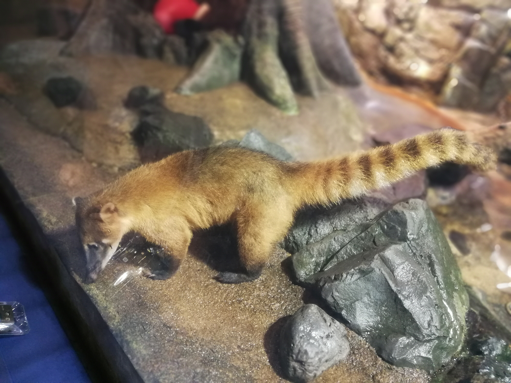 日本乐高亲子游,日本乐高亲子游玩中心在哪