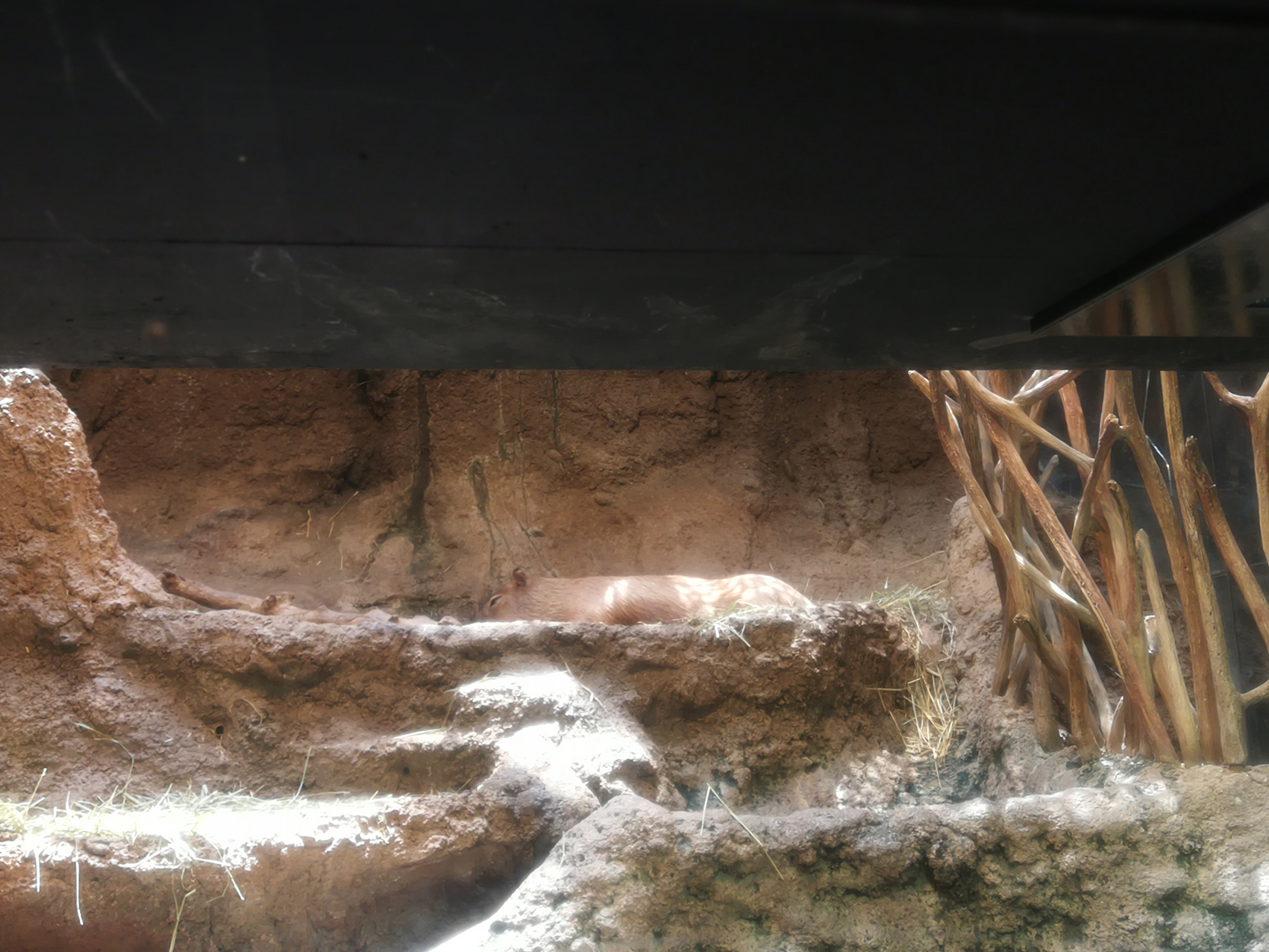 日本乐高亲子游,日本乐高亲子游玩中心在哪