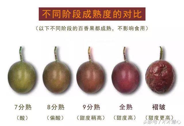 它叫爱情果，果汁味道如初恋，网友：难怪男男女女都喜欢点上一杯