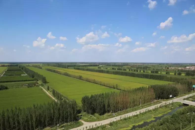 京津冀协同发展唐山地位,京津冀协同唐山转型