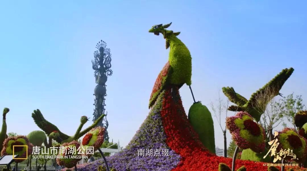 京津冀协同发展唐山地位,京津冀协同唐山转型