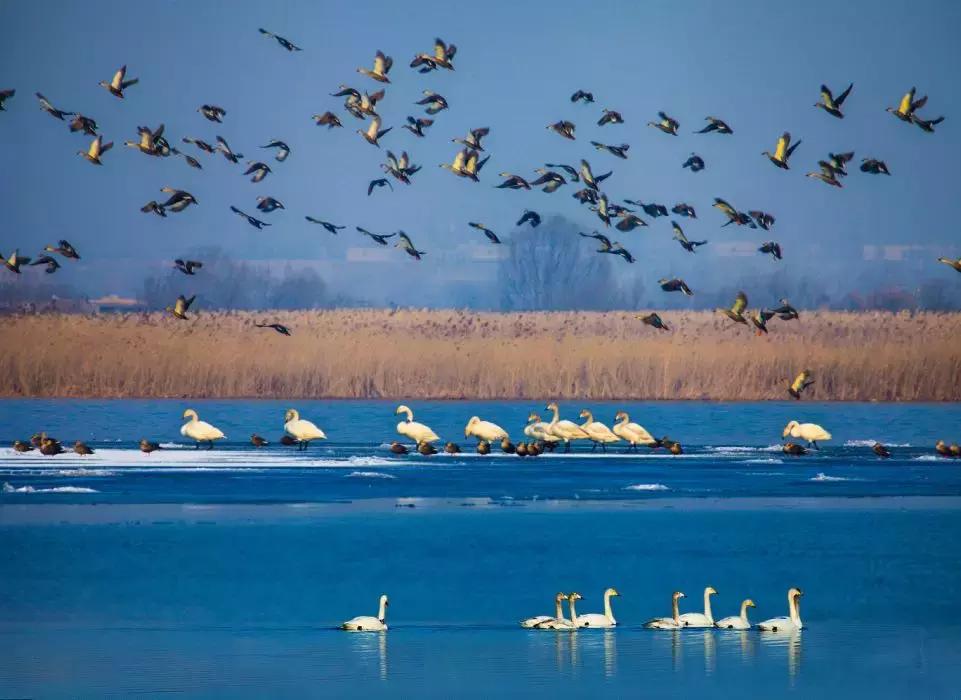 京津冀协同发展唐山地位,京津冀协同唐山转型