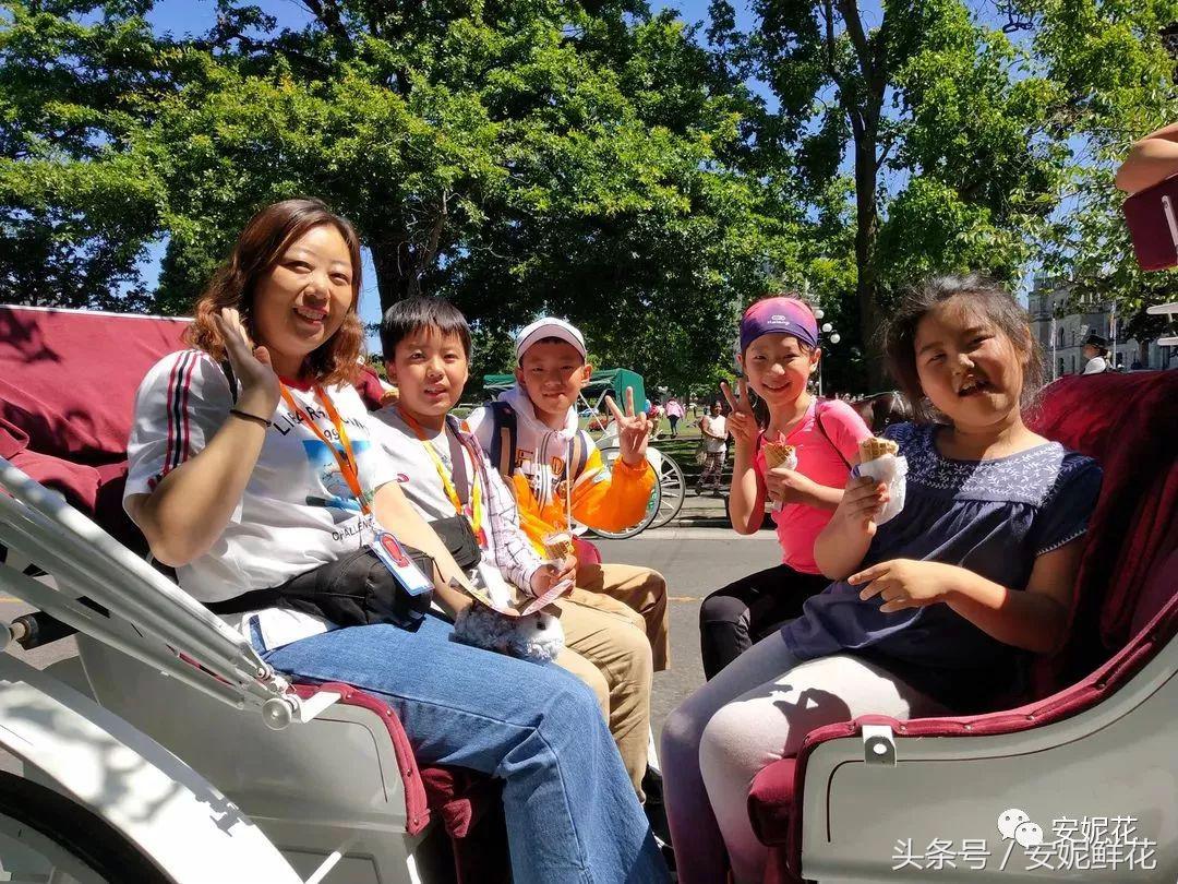 浸入式体验北美教育，安妮花2018童子军夏令营跨国行记