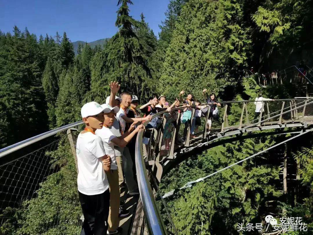 浸入式体验北美教育，安妮花2018童子军夏令营跨国行记