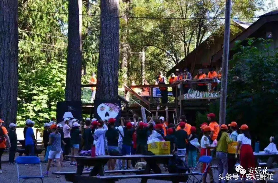 浸入式体验北美教育，安妮花2018童子军夏令营跨国行记