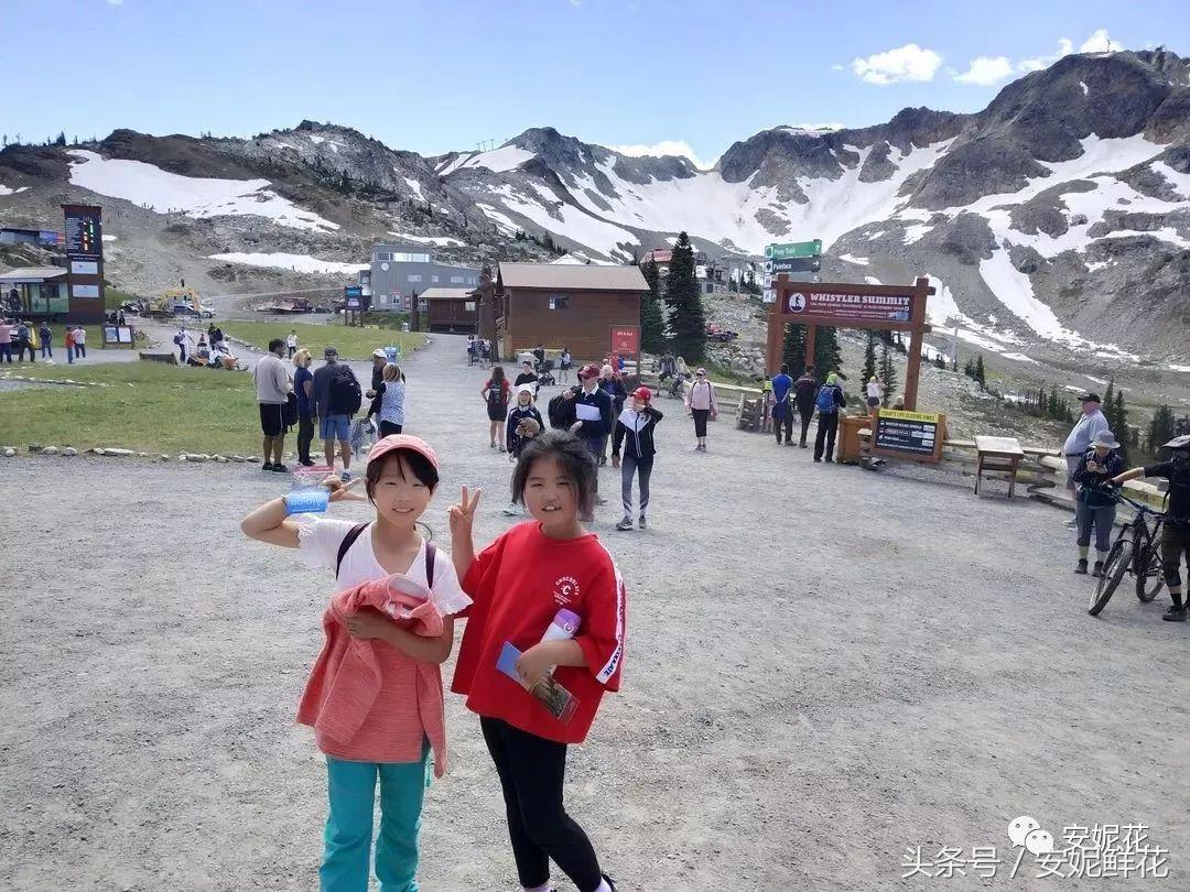浸入式体验北美教育，安妮花2018童子军夏令营跨国行记