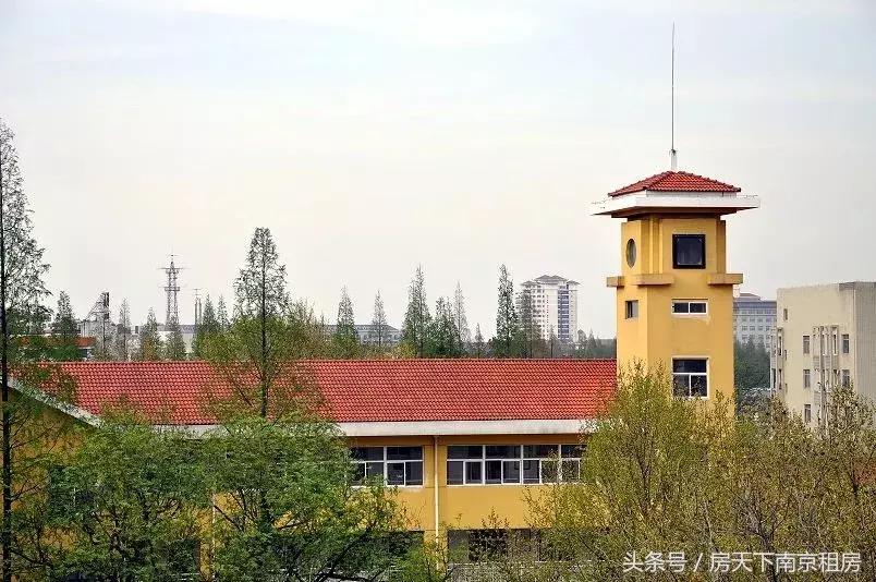 大洗牌榜单,南京重点初中排名一览表