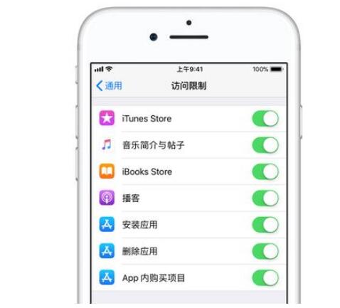 iphone的访问设置在哪里,iphone的访问限制怎么隐藏app