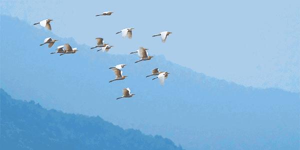 杭州临安万豪酒店效果图,杭州第二家万豪酒店