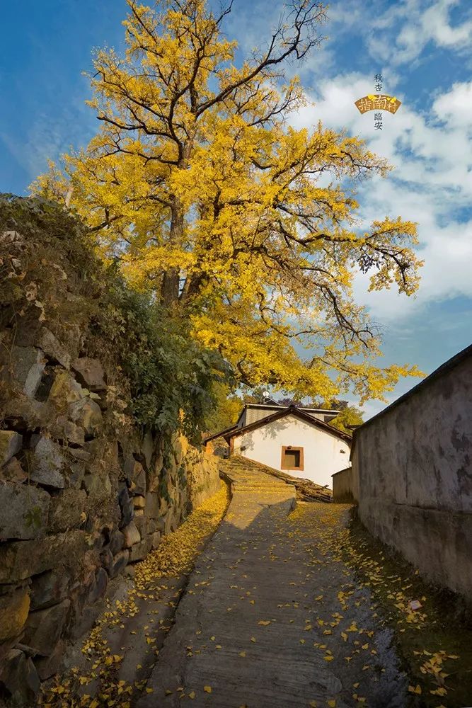 杭州临安万豪酒店效果图,杭州第二家万豪酒店