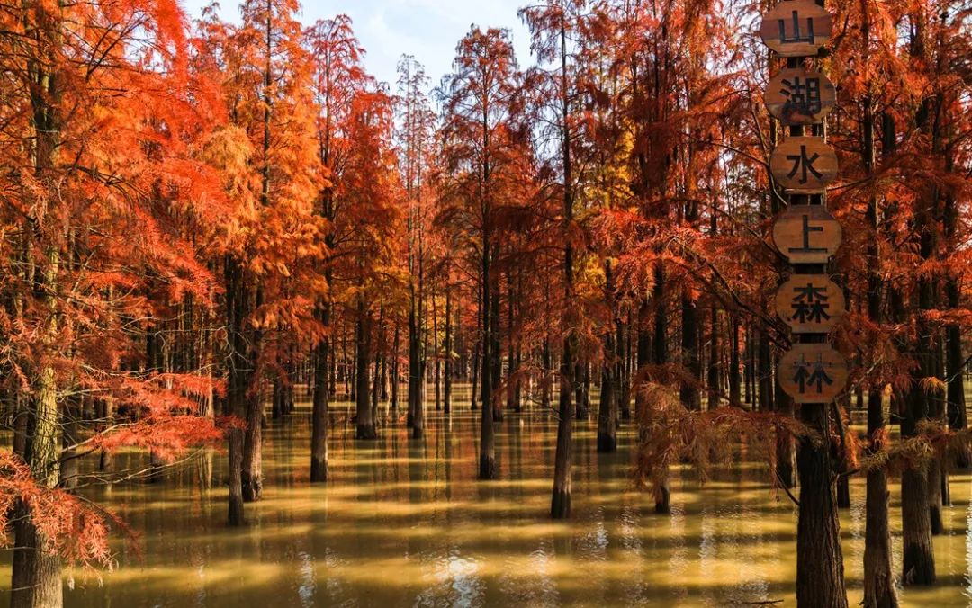 杭州临安万豪酒店效果图,杭州第二家万豪酒店