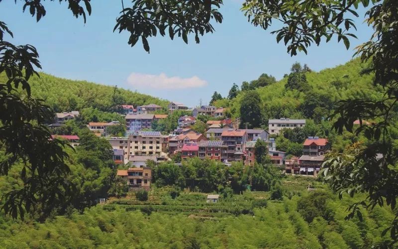 杭州临安万豪酒店效果图,杭州第二家万豪酒店