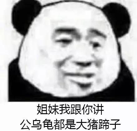 涔夊涔夊伐鏃呰,涔夊瑙嗛