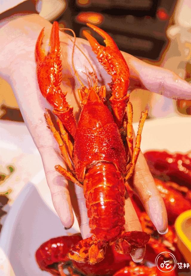 送花甲/小龙虾！还有岳阳姜辣菜助阵，这家小龙虾音乐剧演的不错