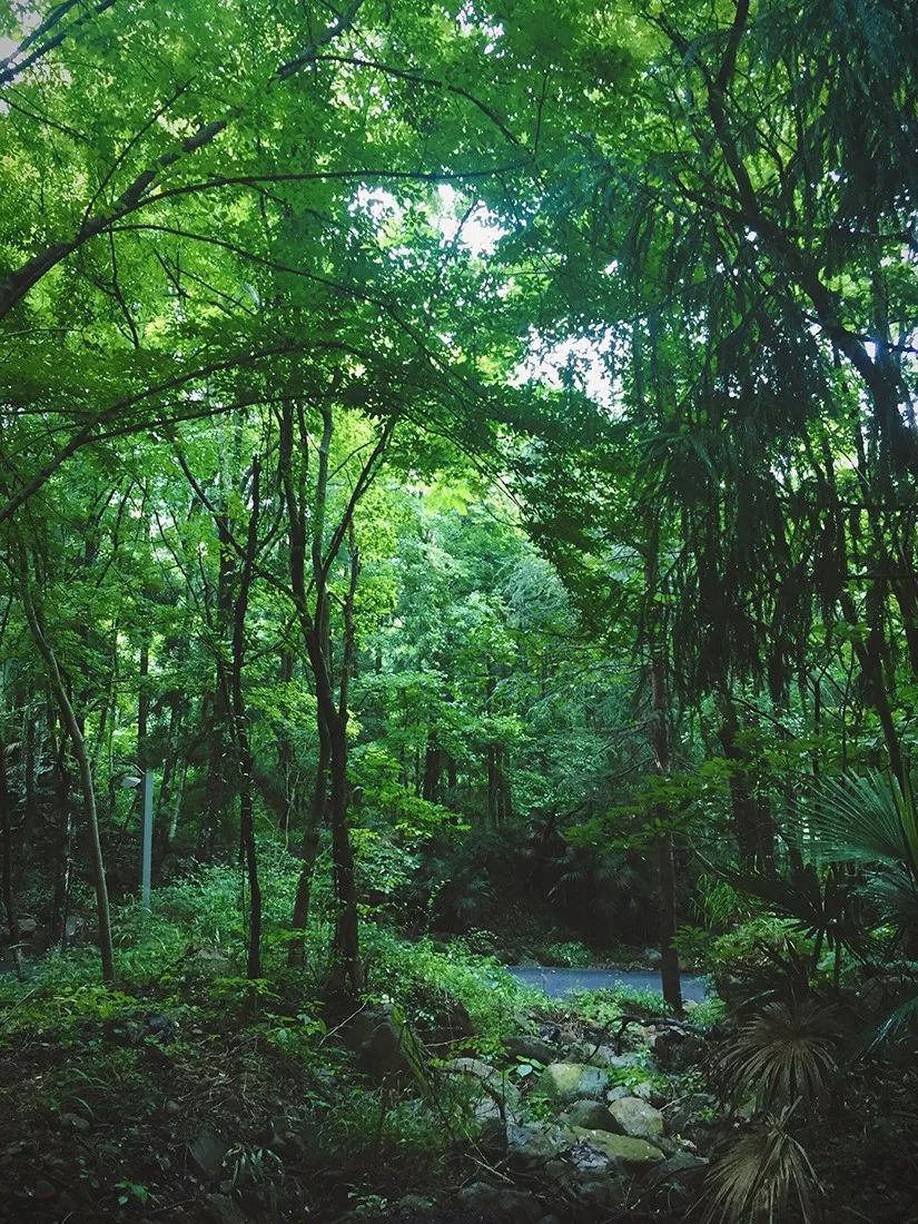 杭州第二酒店,杭州临安万豪酒店几星级