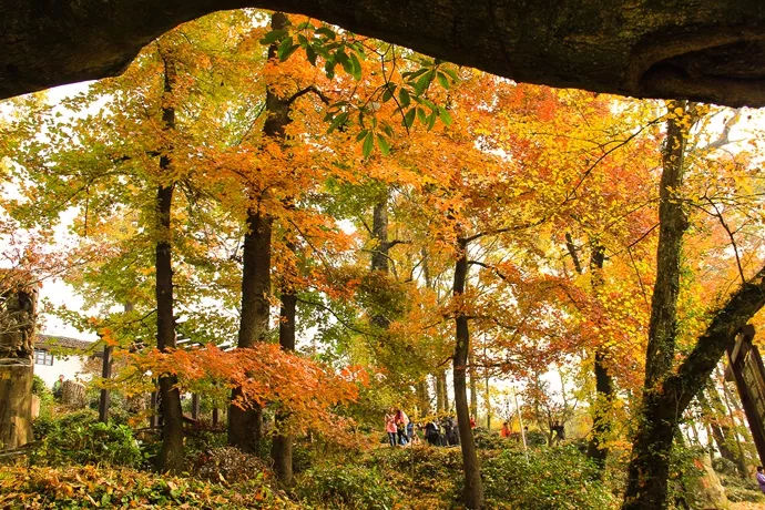 杭州第二酒店,杭州临安万豪酒店几星级