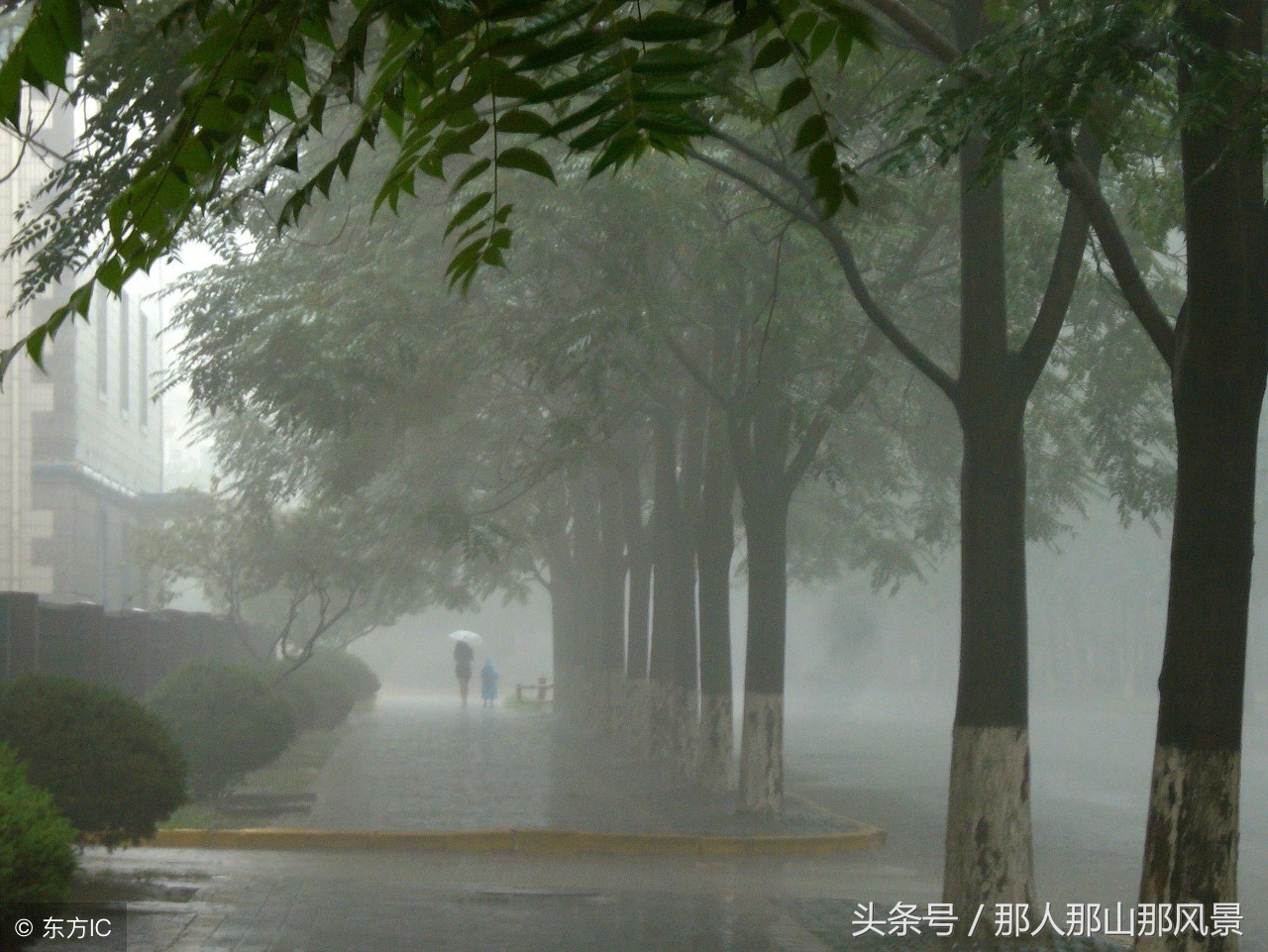 四季景物的成语,描写四季的成语和句子