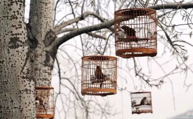 西城最后一个!20年的老市场9月底就没!想怀念的赶紧!