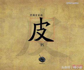 皮姓的来历,百家姓中的皮姓怎样读