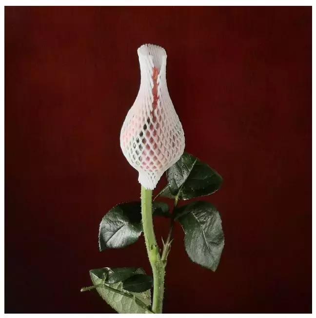 手机拍摄九宫格,手机摄影九宫格怎么设置