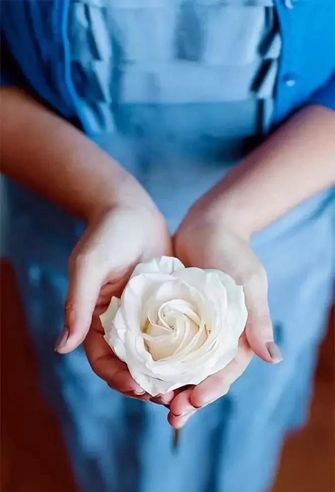 七夕节送花关于颜色的寓意,送花朵数讲究