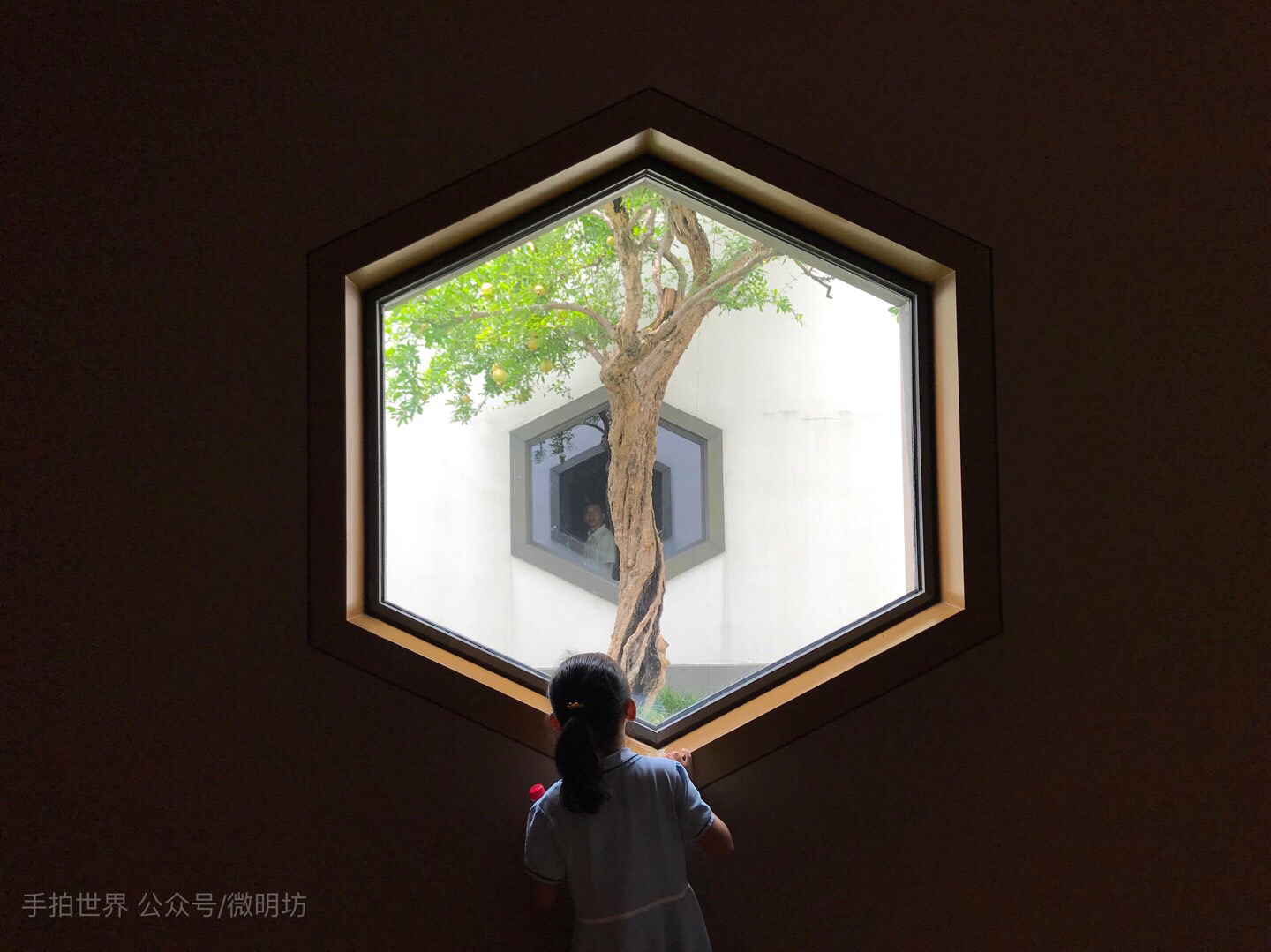 微明手拍观（续-1）-微明本色摄影理念