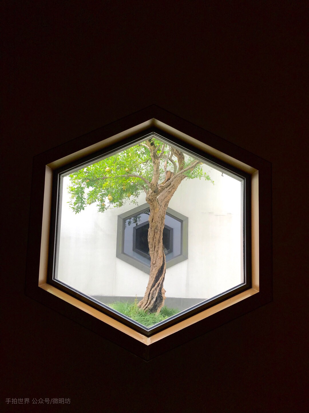 微明手拍观（续-1）-微明本色摄影理念