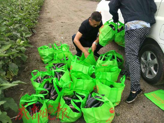 哈尔滨农民为白血病患儿种40亩“放心菜”每周去医院免费分发