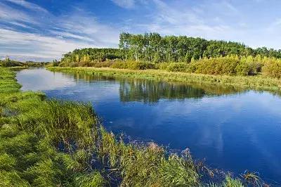 网络找工作落入传销新闻,大学生误入传销组织被骗倾家荡产