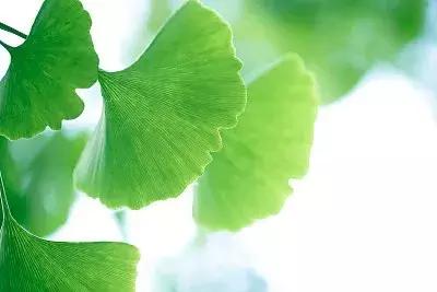 网络找工作落入传销新闻,大学生误入传销组织被骗倾家荡产