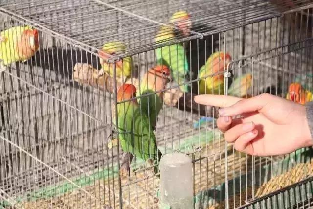 西城最后一个！20年的老市场9月底就没！想怀念的赶紧！