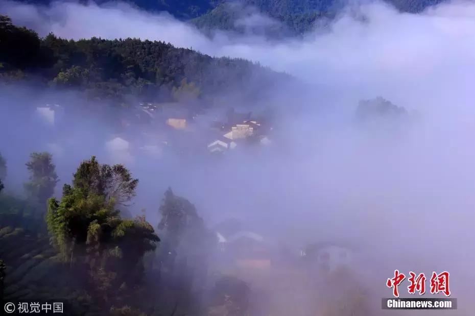 安慰女朋友心情低落诗词,写心情郁闷低落的诗词