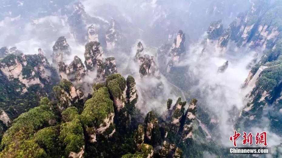 安慰女朋友心情低落诗词,写心情郁闷低落的诗词